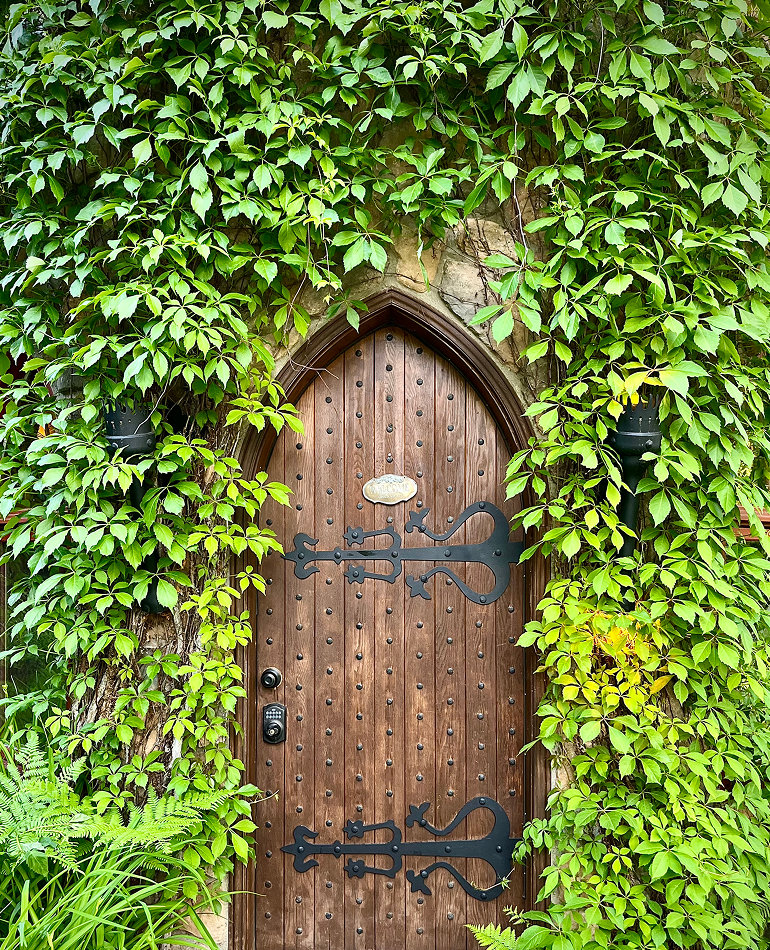 Door hidden in a wall of ivy