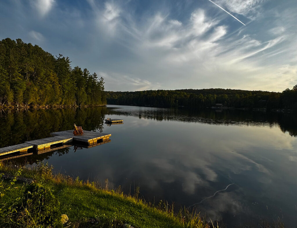 Shore view of a lake