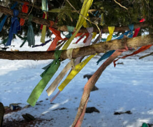 Spiritual ribbons tied to a tree