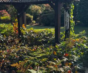 Nature bed in a garden