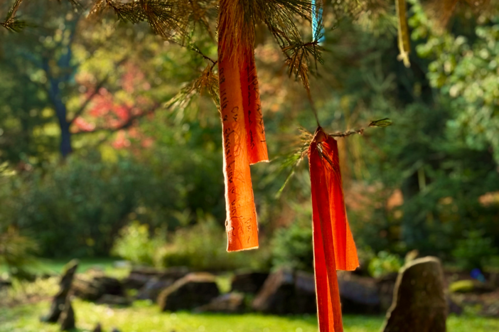 Spiritual ribbons tied to a tree