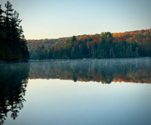 Lake view with a fall forest