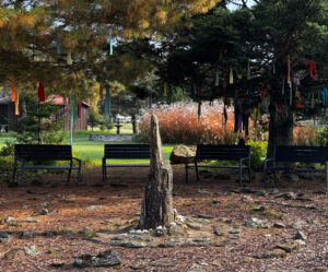 Outdoor display of nature