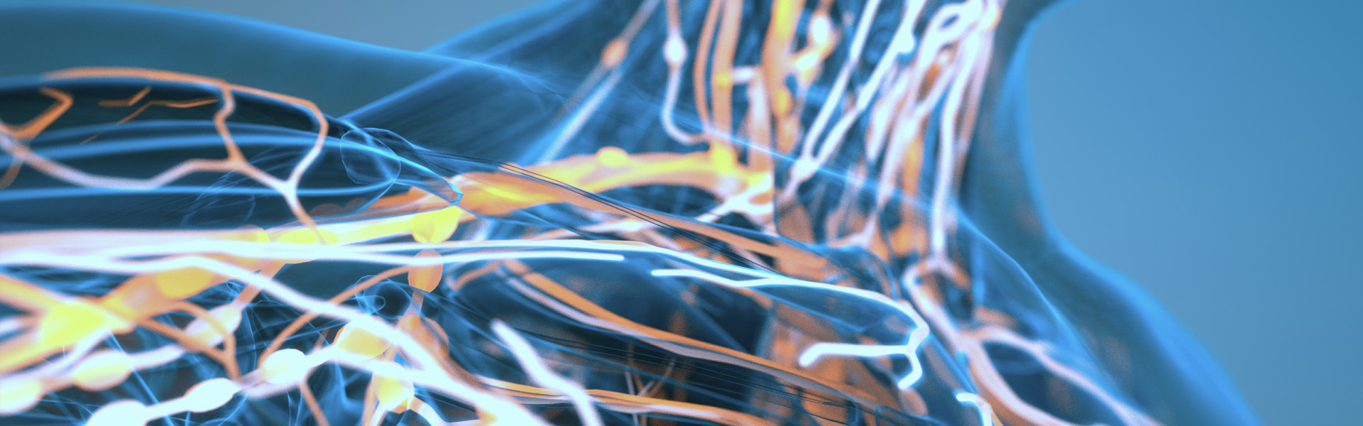 Close up of blood flow diagram