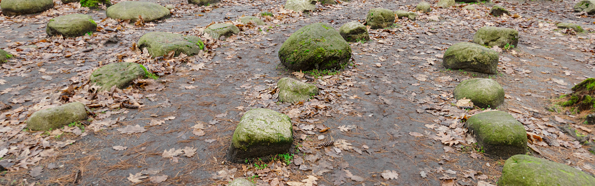Outdoor display of nature in fall