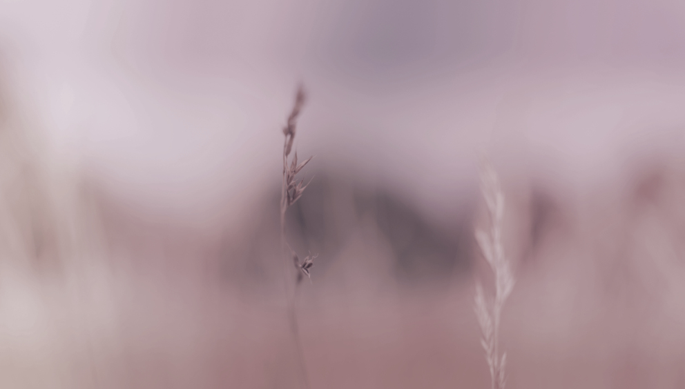 pink texture background