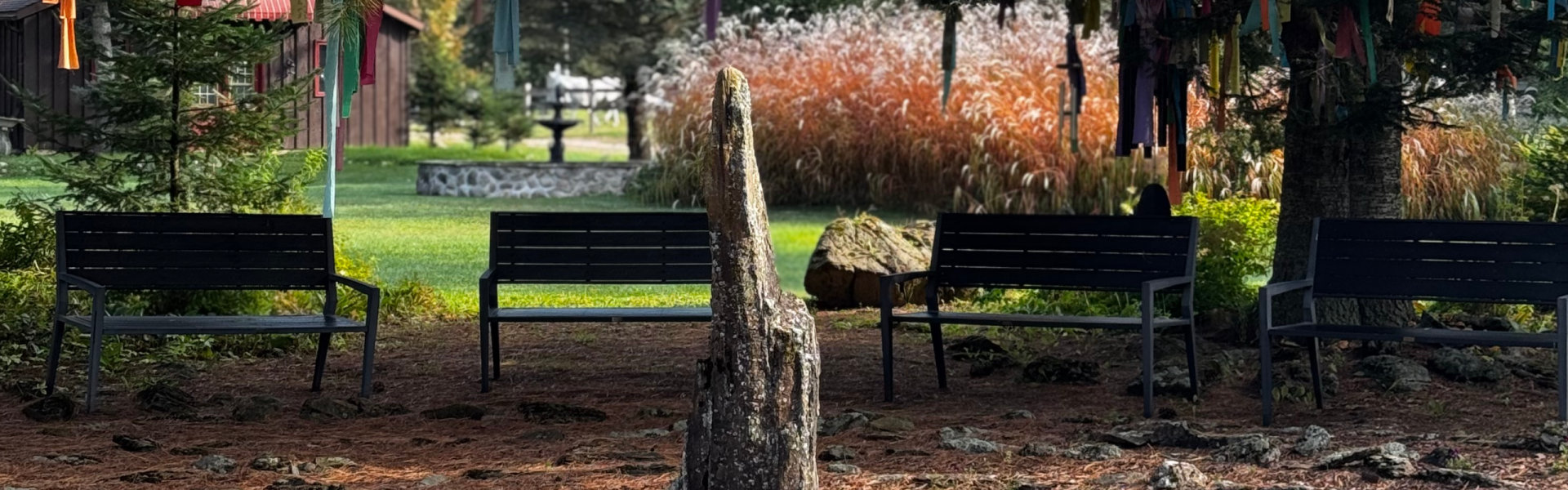 Outdoor display of nature