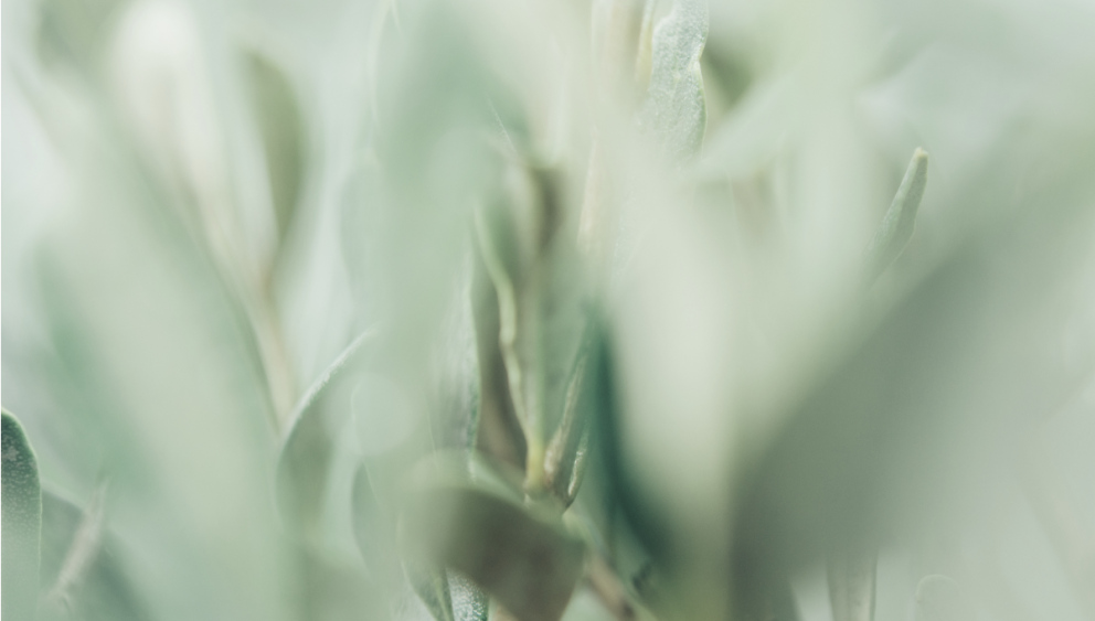 green texture background