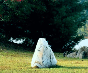 Single large rock in the middle of a grass field