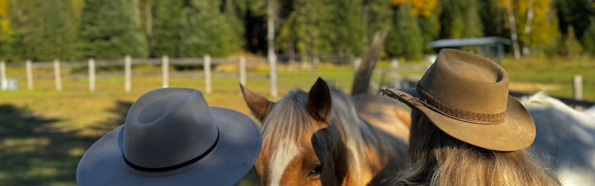 Two women standing beside horses