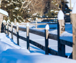 Wood fence covered in snow